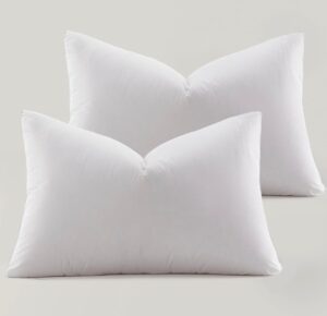 Set de 2 almohadas relleno de plumas  Tamaño standard